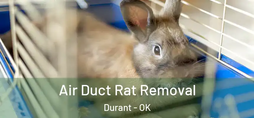  Air Duct Rat Removal Durant - OK