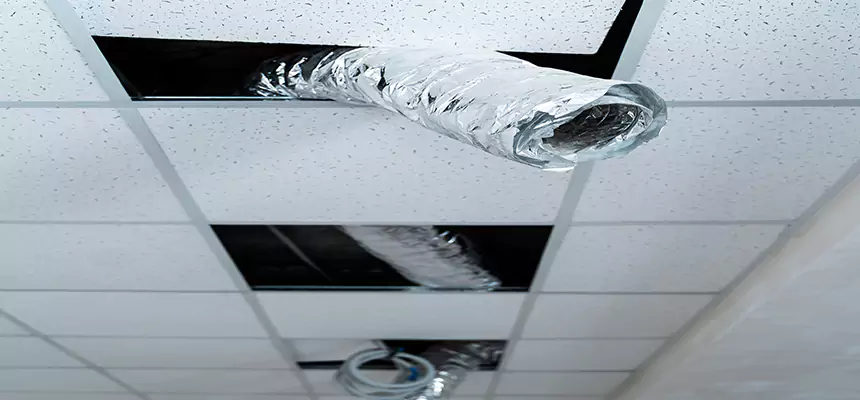 Affordable HVAC Sanitizing After Pest Removal in Durant