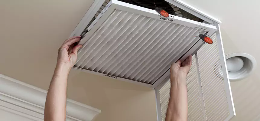 Our Insect Removal from Air Ducts Services in Durant, OK