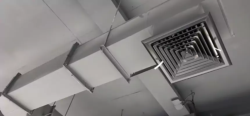 Our Pest Removal From Ducts Services in Durant, OK