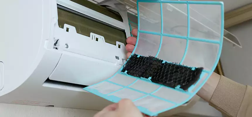 Gentle Ductwork Odor-Control Pet Dander Duct Cleaning in Durant, OK