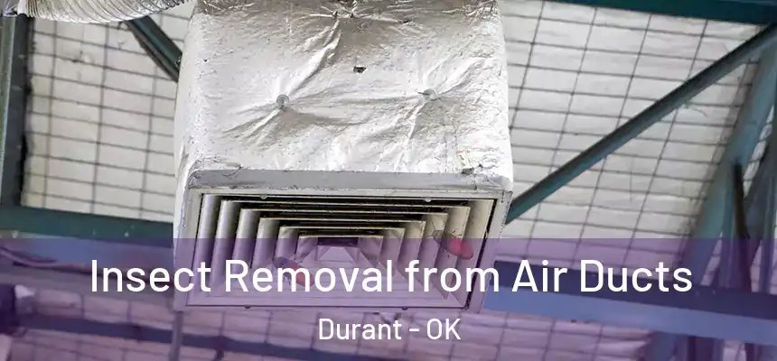  Insect Removal from Air Ducts Durant - OK