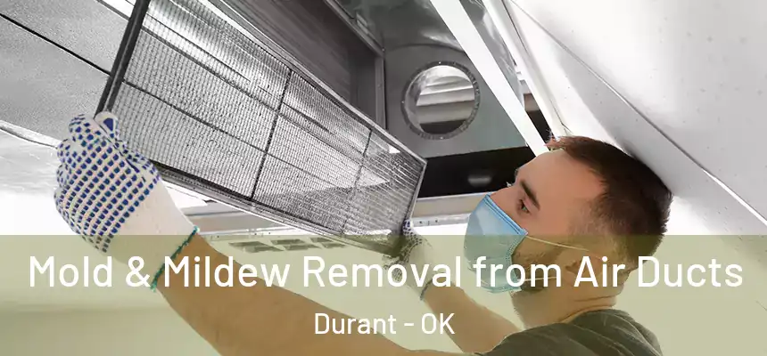  Mold & Mildew Removal from Air Ducts Durant - OK