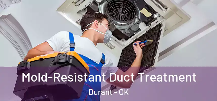  Mold-Resistant Duct Treatment Durant - OK