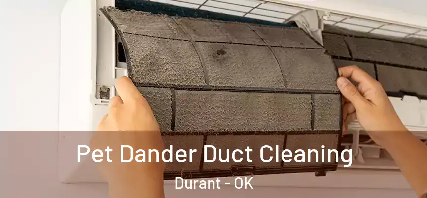  Pet Dander Duct Cleaning Durant - OK