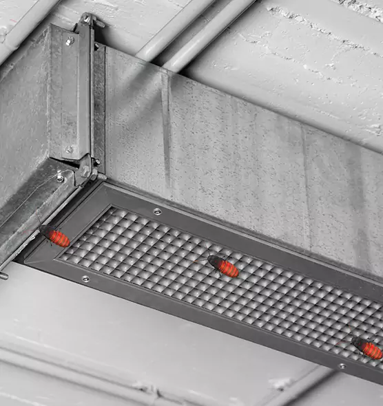 About Air Duct Cockroach Removal in Durant, OK