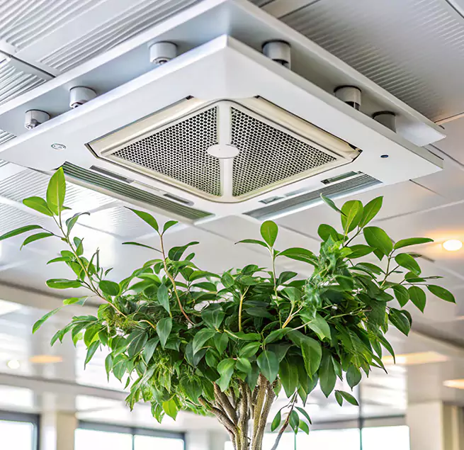 Why Homeowners & Businesses Trust Us in Durant, OK?